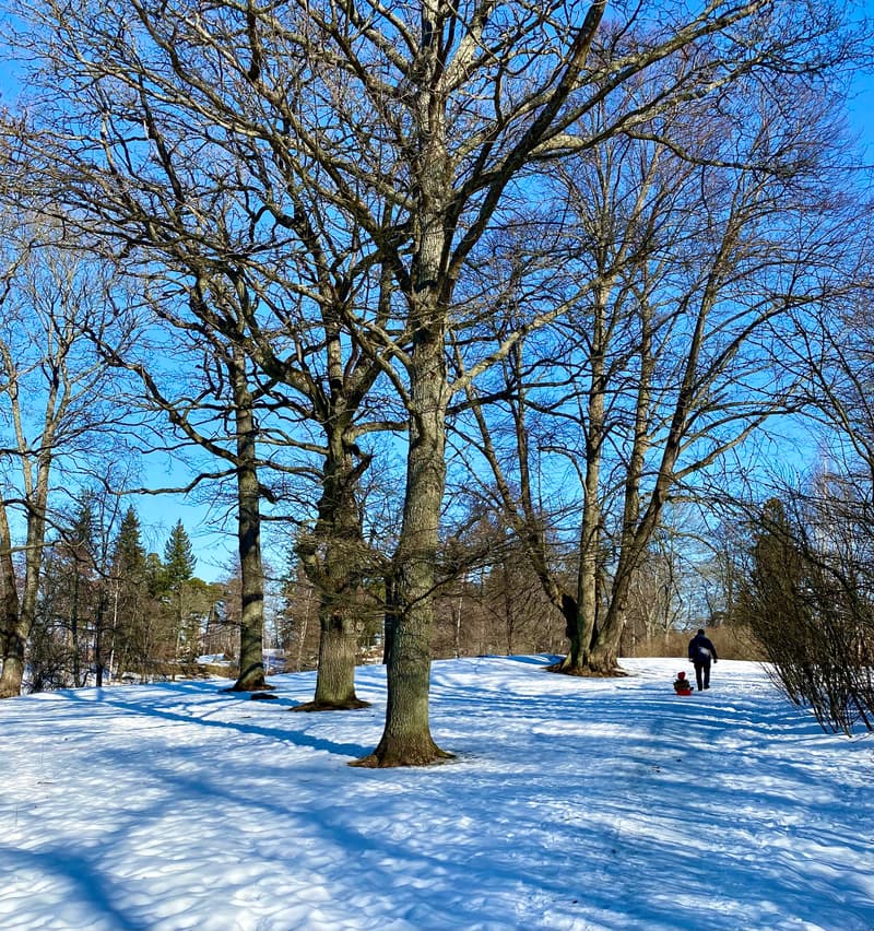 Where to Go During Winter Break? February 19-25, 2024