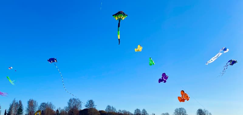 Where to Go This Week? Feb 27 - Mar 5, 2023