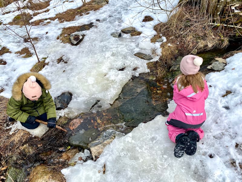 Where to go this week? March 11-17, 2024