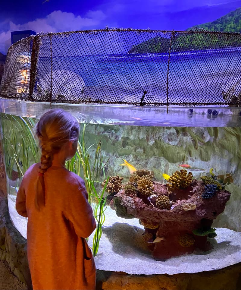 Where to Go This Week? March 6-12, 2023