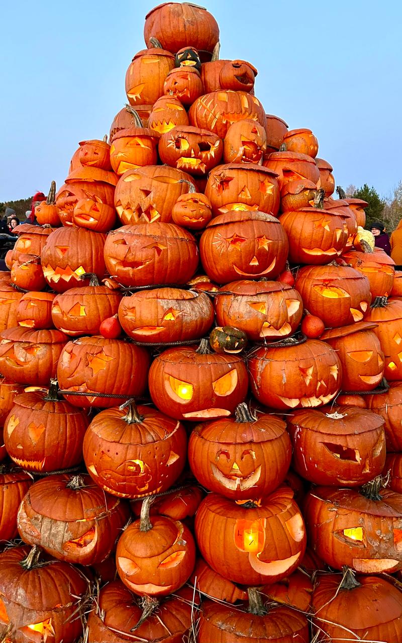 Small Finland: Tips and Ideas for Autumn Break 2025