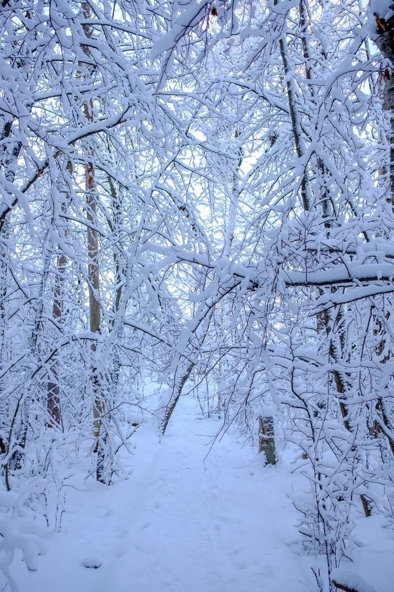 Where to Go This Week? January 8-14, 2024