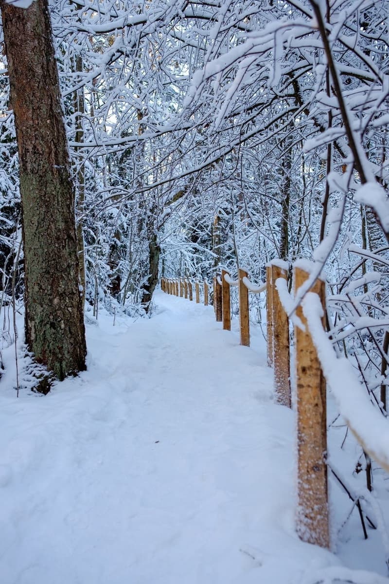 Where to go this week? January 13-19, 2024