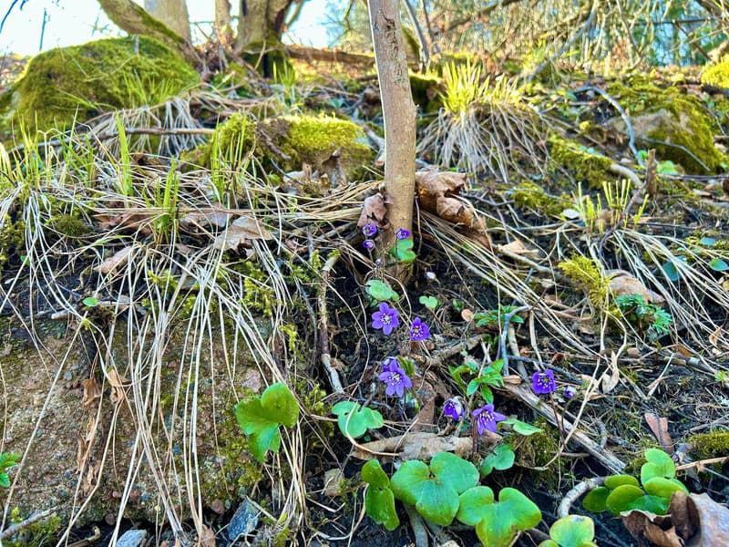 Where to Go This Week? April 29 - May 5, 2024