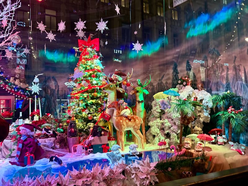 Where to Go This Christmas Week? Christmas to Epiphany 2024