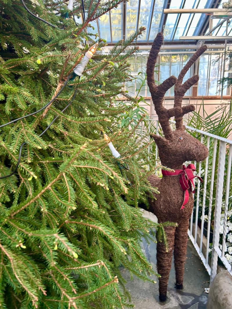 Where to go this Christmas week? 15.-21.12.2025