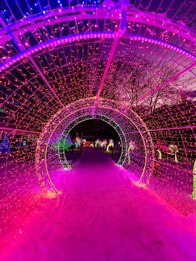 Where to go this week? 24.2.-2.3.2025