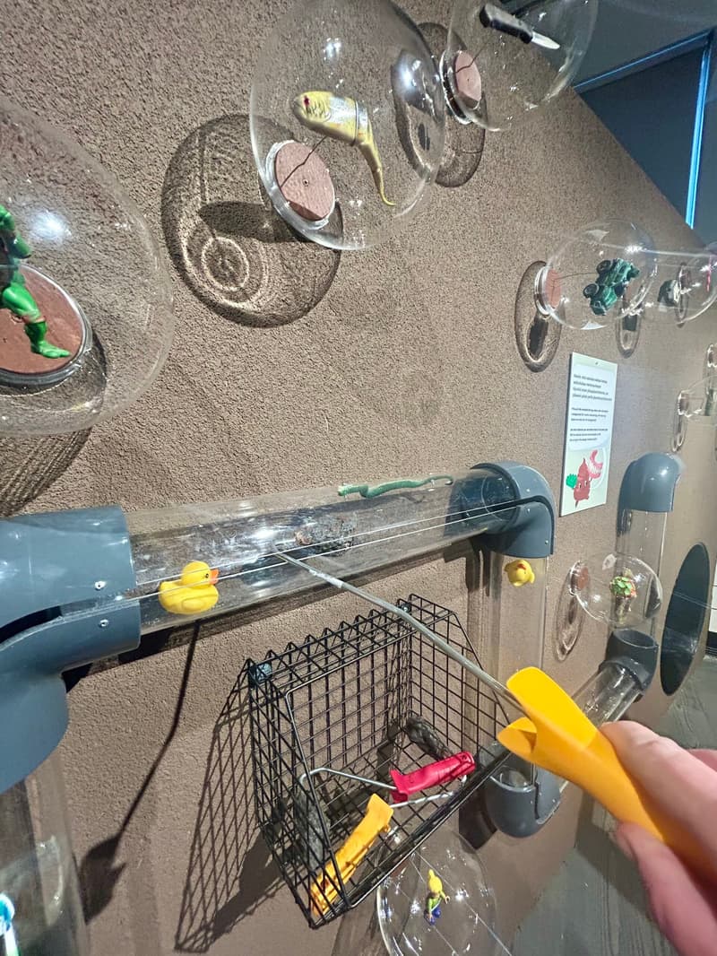 Where to Go This Week? May 12-18, 2025