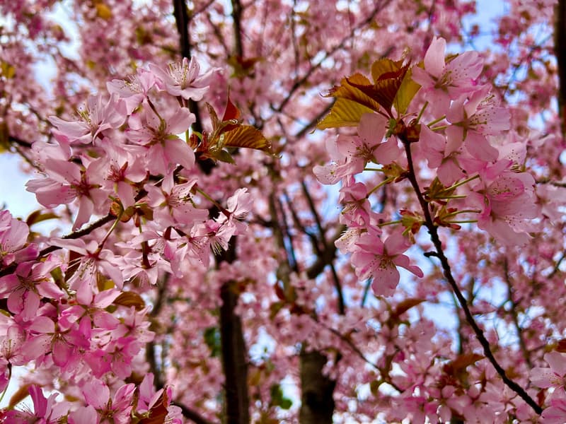 Where to go this week? May 5-11, 2025