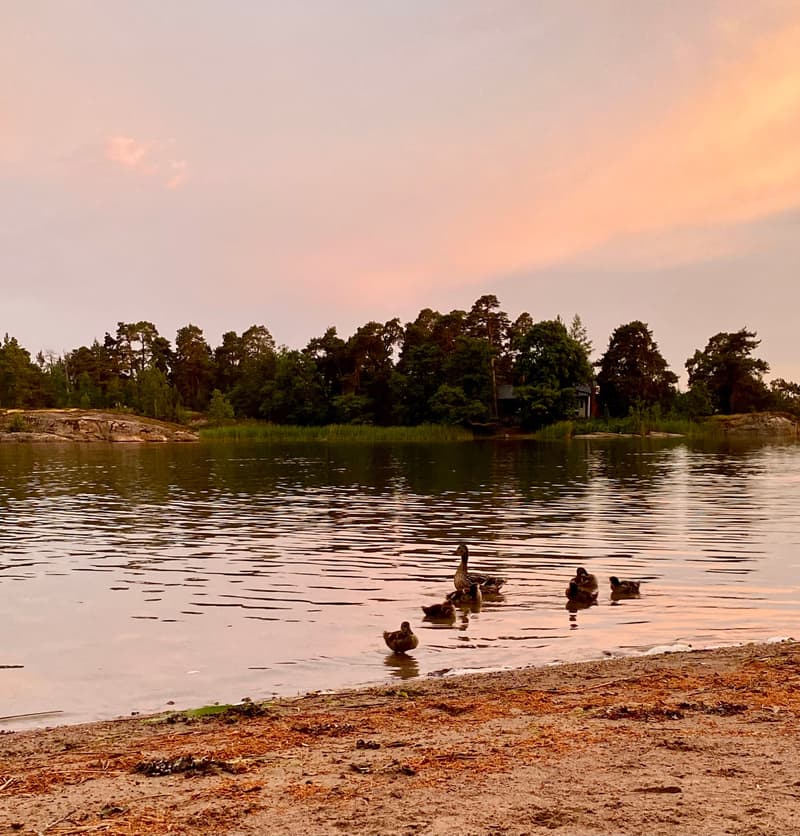 Midsummer in Helsinki 2025