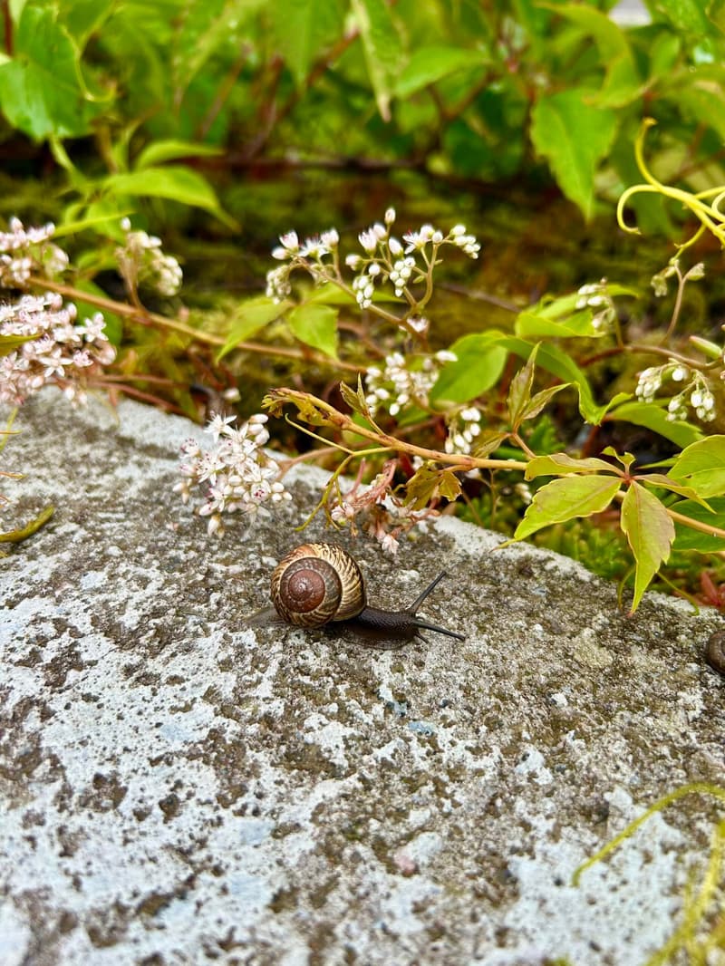 Where to go this summer week? July 14-20, 2025