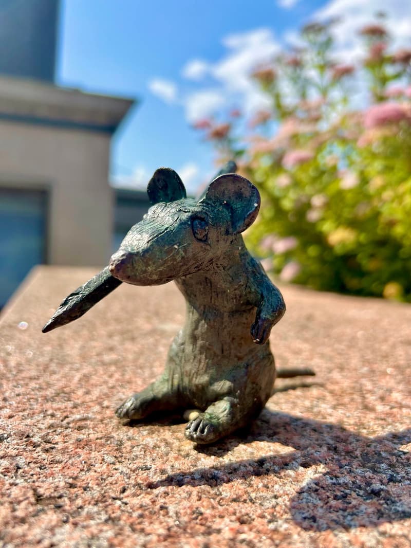 Where to go this week? 22.-28.9.2025