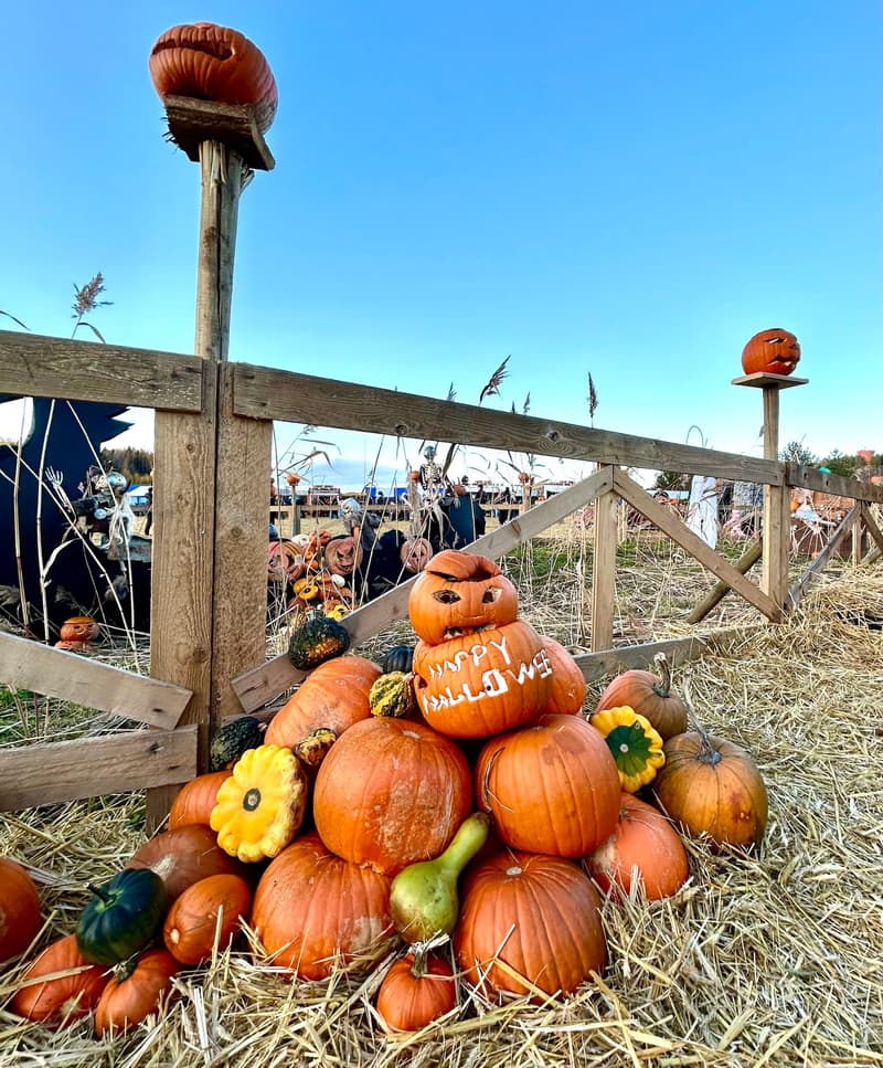 Halloween, Kekri and All Saints' Day in Helsinki 2025