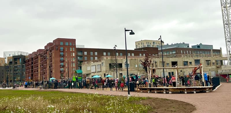 Where to go this week? November 3-9, 2025