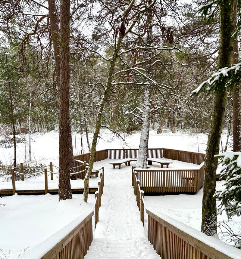 Where to Go This Week? January 26–February 1, 2026